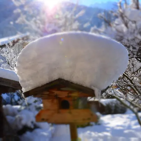 Haus Tirolerland Gasthuis Mayrhofen