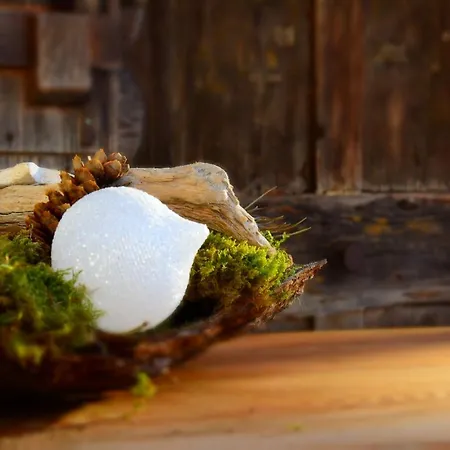 Haus Tirolerland Vendégház Mayrhofen