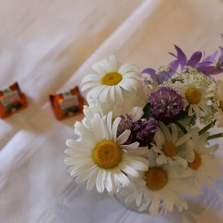 Gasthuis Haus Tirolerland