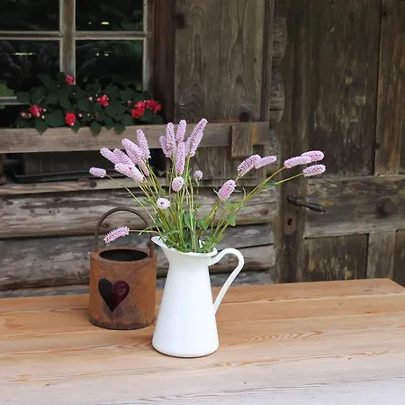 Gasthof Haus Tirolerland Mayrhofen