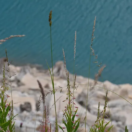 Gasthuis Haus Tirolerland