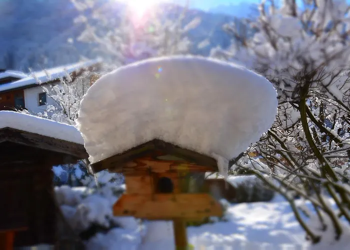 Haus Tirolerland Pensionat Mayrhofen