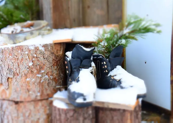 بيت ضيافة Haus Tirolerland