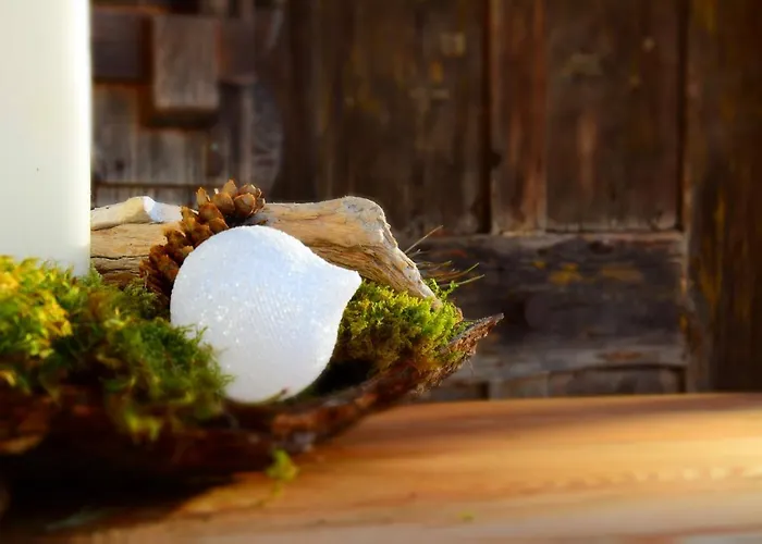 Haus Tirolerland بيت ضيافة مايرهوفن