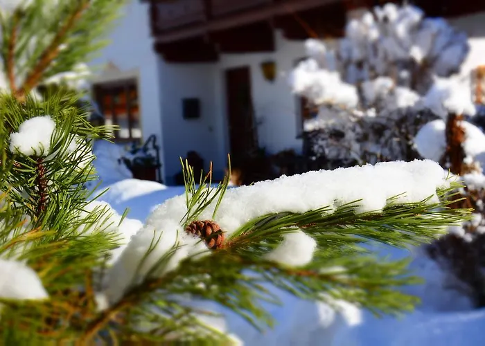 Haus Tirolerland 3* Mayrhofen