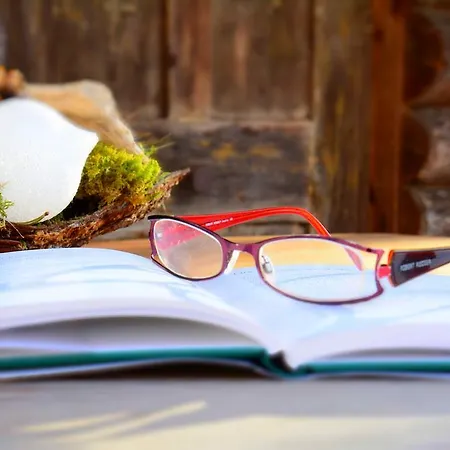 Maison d'hôtes Haus Tirolerland Mayrhofen